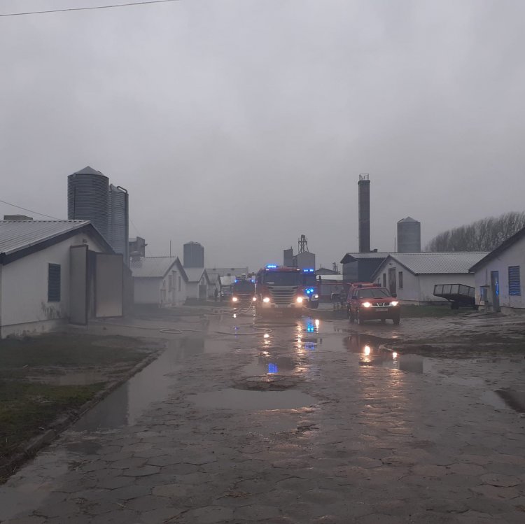 Pożaru budynku inwentarskiego przeznaczonego do hodowli drobiu na fermie w miejscowości Kruszwin.